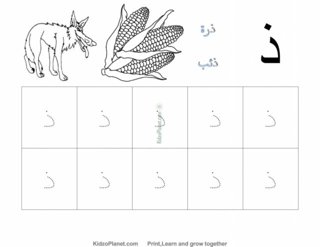Arabic-Letters_92_17
